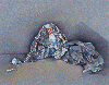 Le sphinx